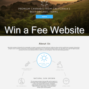 Win A Website