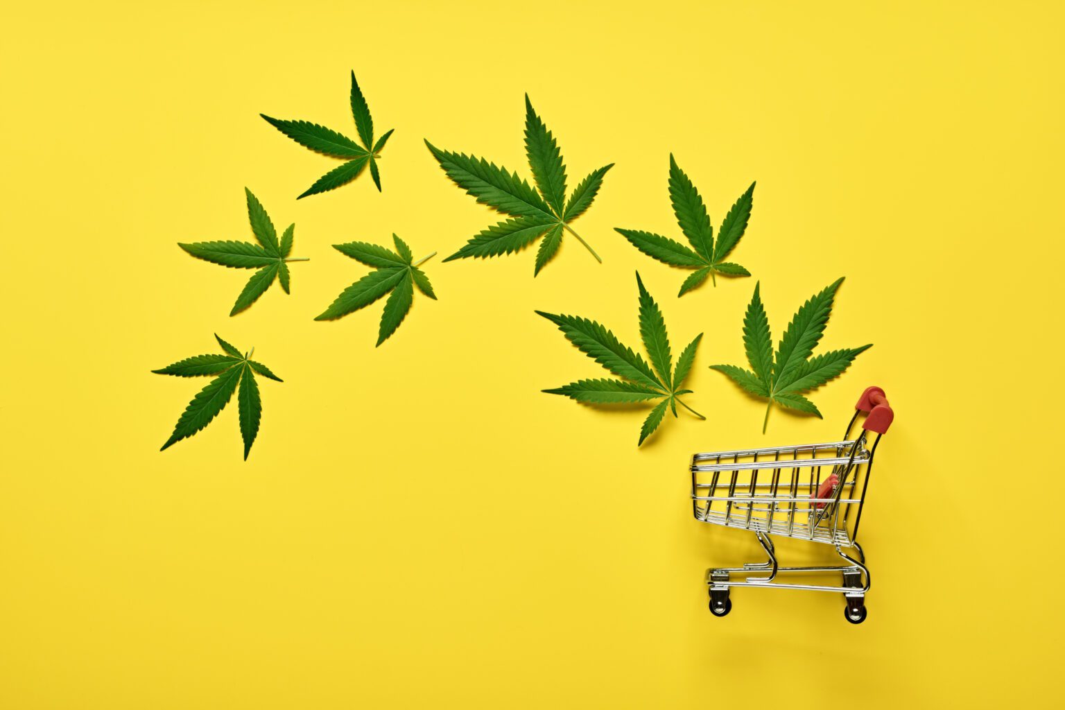 Cannabis-Compliance-Marketing