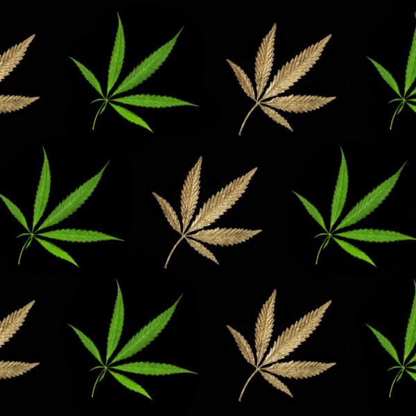 Cannabis-Strain-Branding