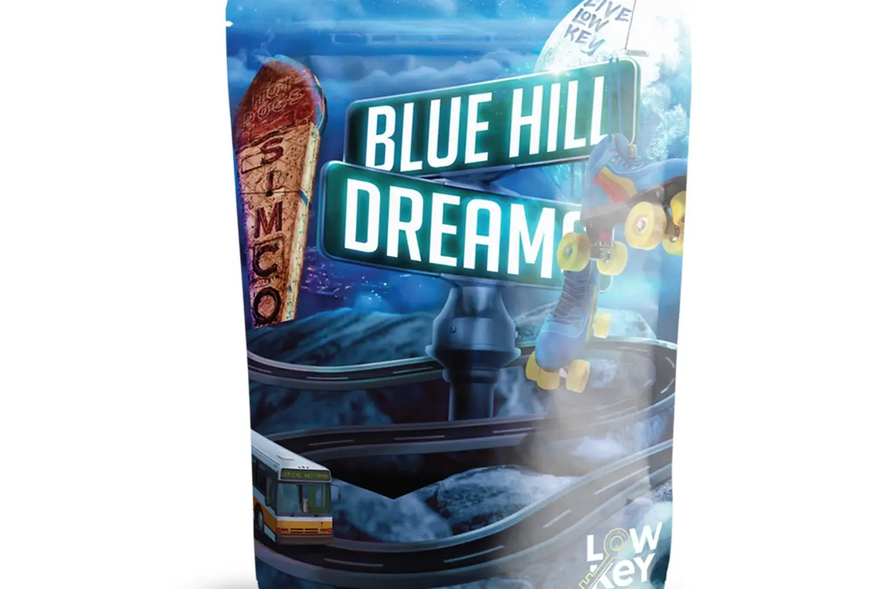The Blue Hill Dreams pouch - Blue Hill Avenue street-sign artwork