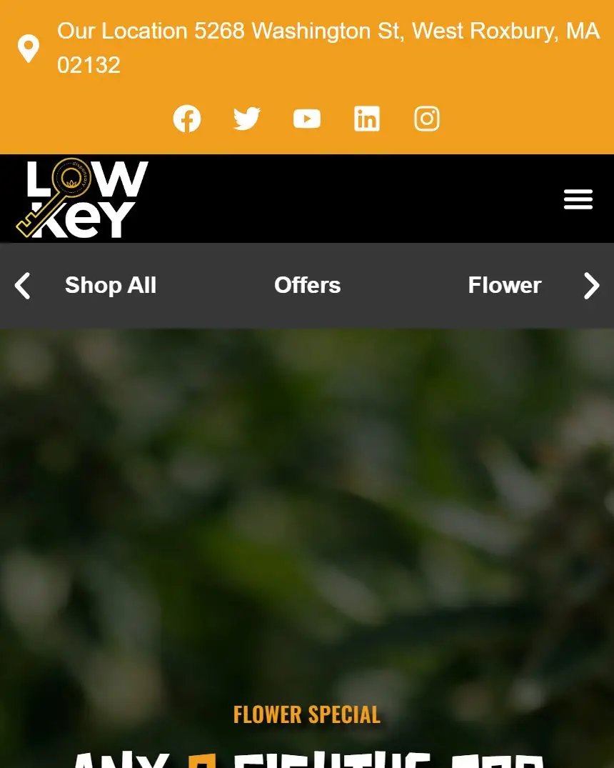 The live Lowkey homepage
