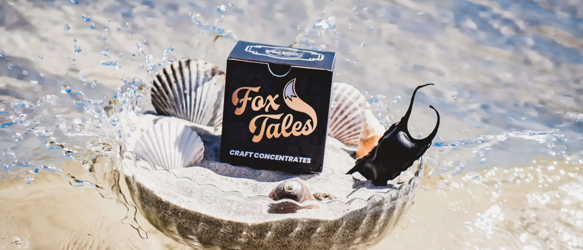 A Fox Tales craft concentrates carton by Pioneer Valley Cannabis Co. standing in a glass dish of sand in breaking surf, scallop shells around it and water splashing across the frame.